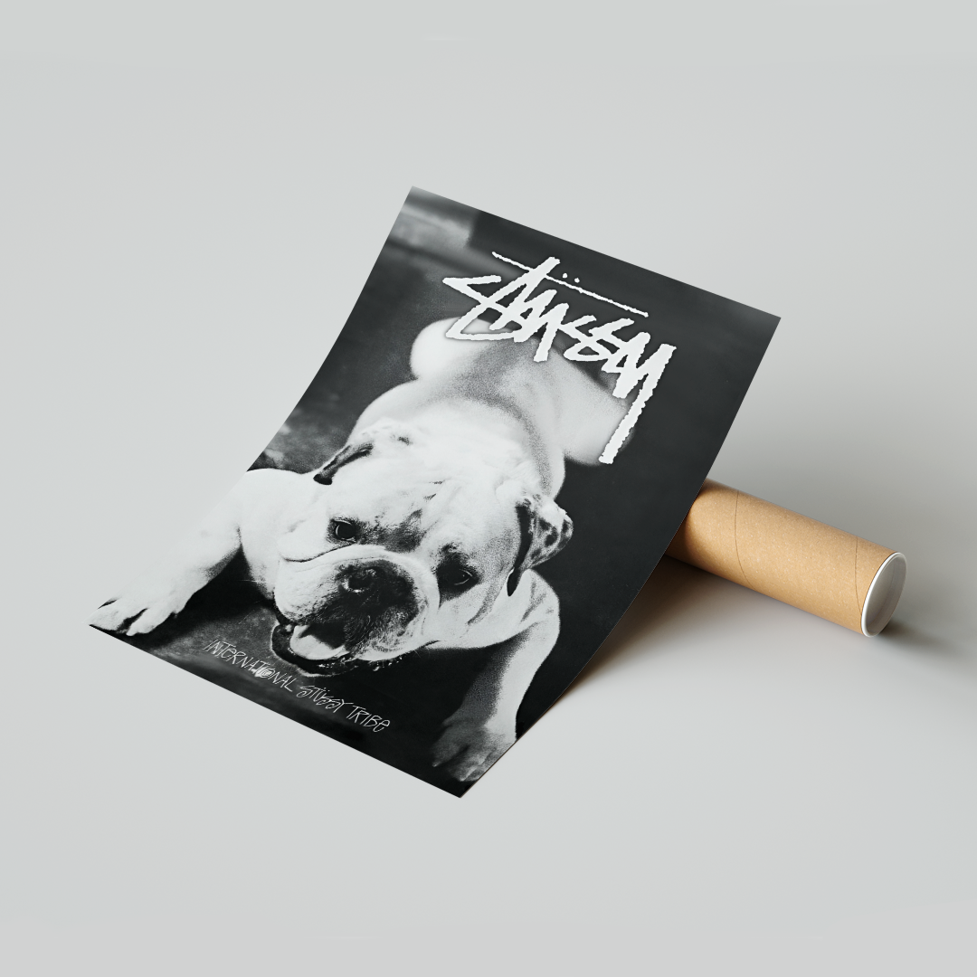 Image of Stussy