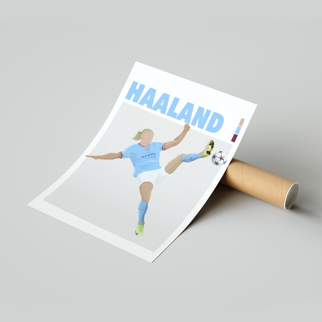 Plakat Haaland