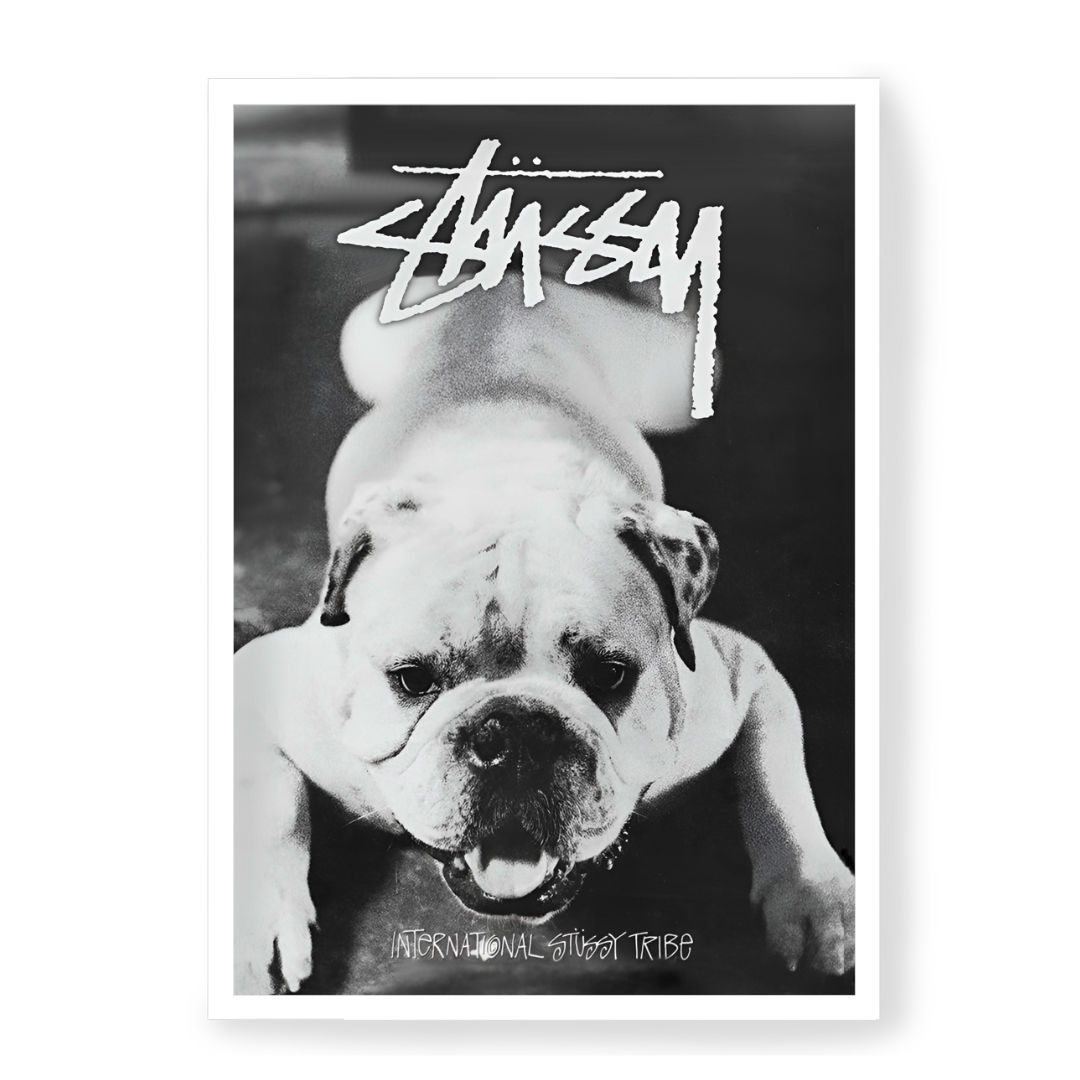 Image of Stussy