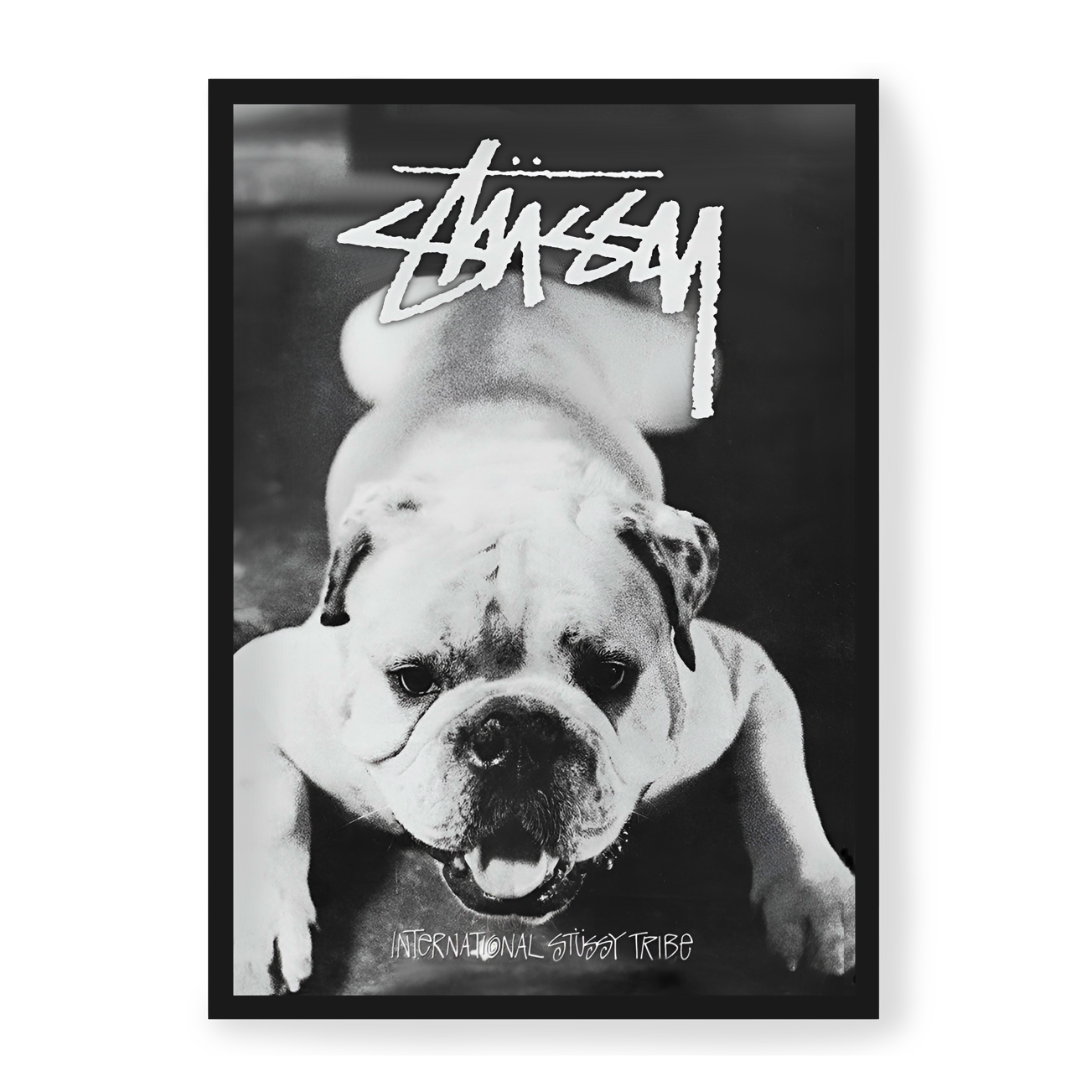 Image of Stussy