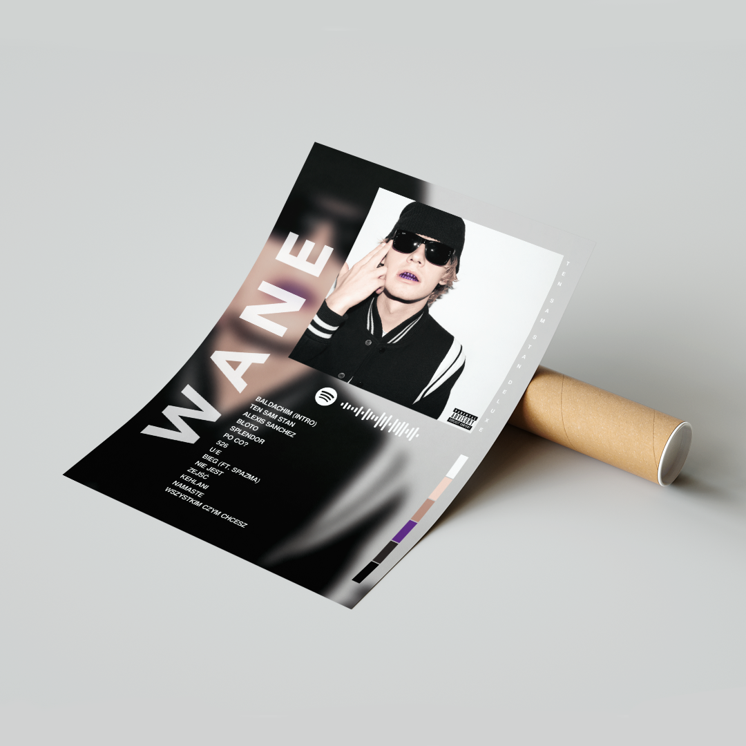 Plakat Wane Ten Sam Stan (Deluxe)