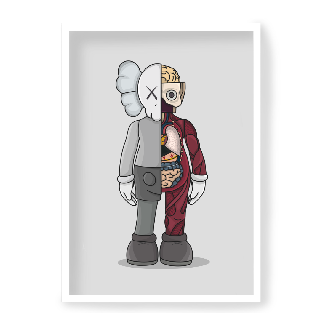 An image of Kaws Anatomy