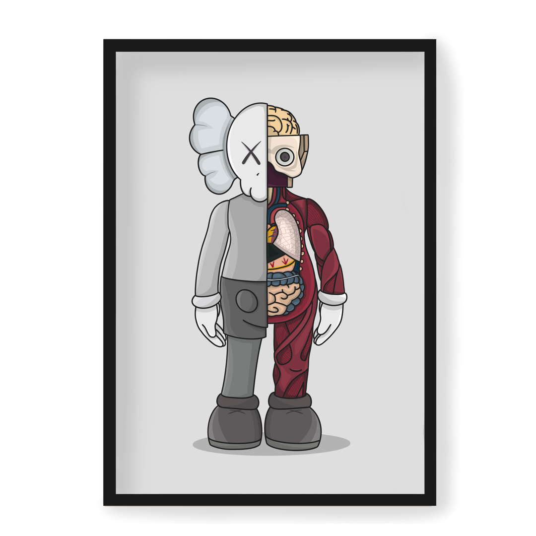An image of Kaws Anatomy