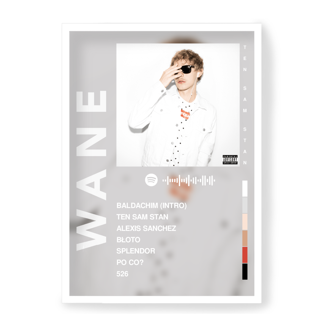Plakat Wane Ten Sam Stan