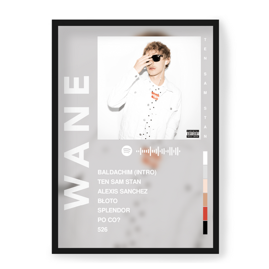 Plakat Wane Ten Sam Stan