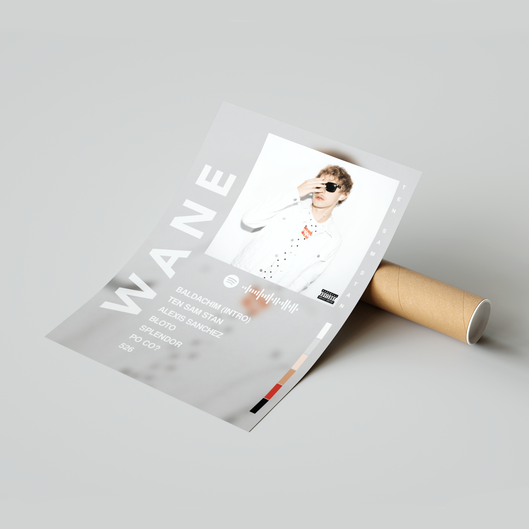 Plakat Wane Ten Sam Stan
