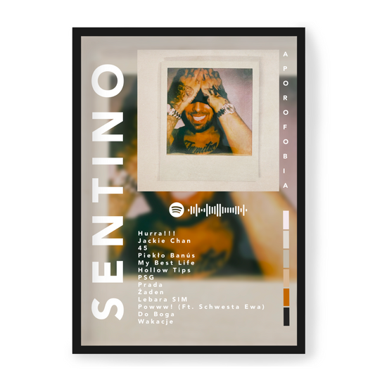 Plakat Sentino Aporofobia