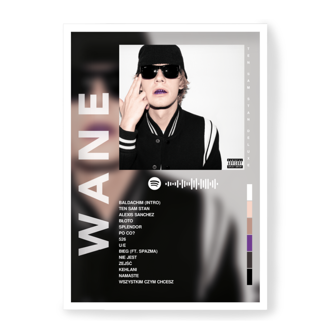 Plakat Wane Ten Sam Stan (Deluxe)