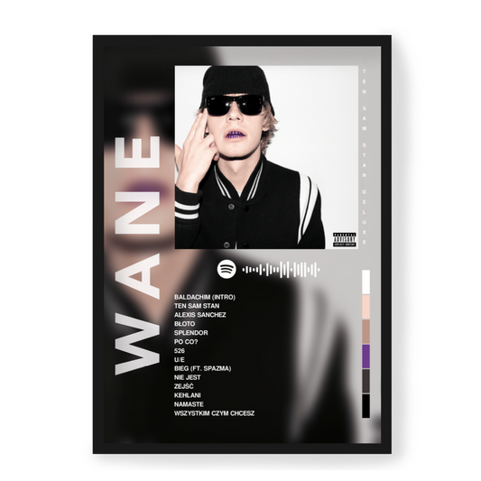 Plakat Wane Ten Sam Stan (Deluxe)